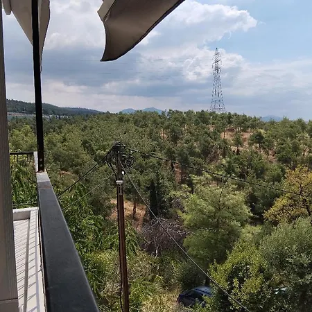 公寓 Forest 塞萨洛尼基